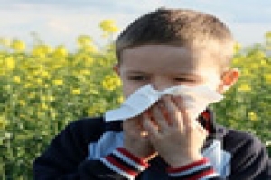 How you can prevent allergies in your child?